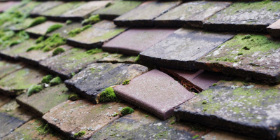 Liskeard roof repair costs